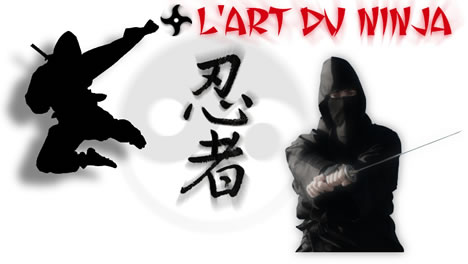 art du ninja