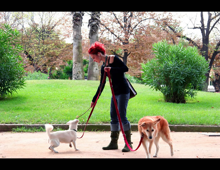 barcelona parc de la ciutadella