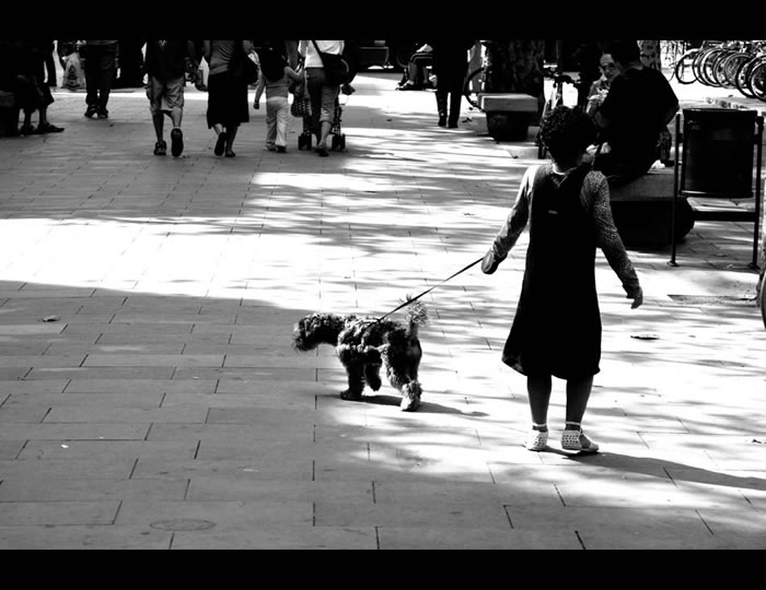 place du born barcelone