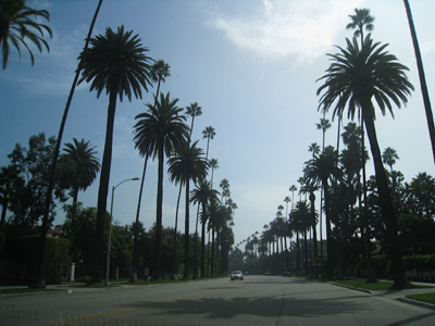 beverly hills