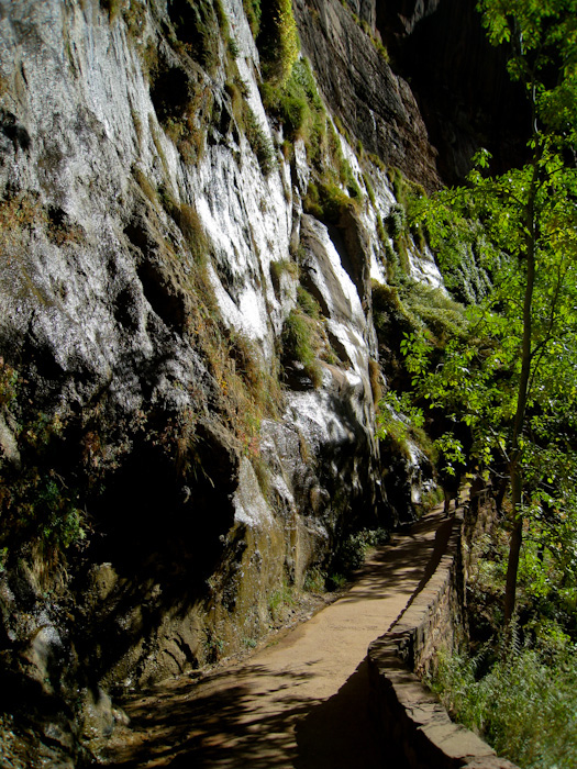 rocher humide dans zion