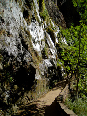 zion national park
