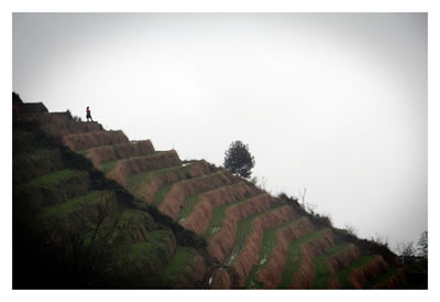 sentinelle - longsheng
