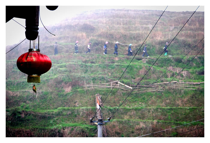 longsheng - champs en terrasse